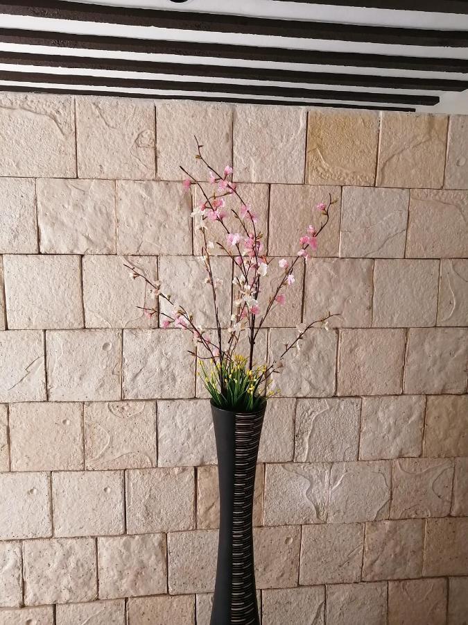 バリャドリッドCasa Mama Betyアパートメント エクステリア 写真